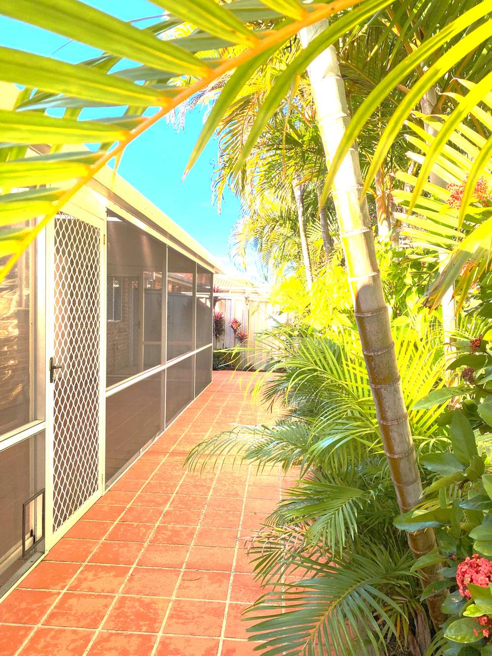 5/8 Wills Court, FORSTER, NSW 2428