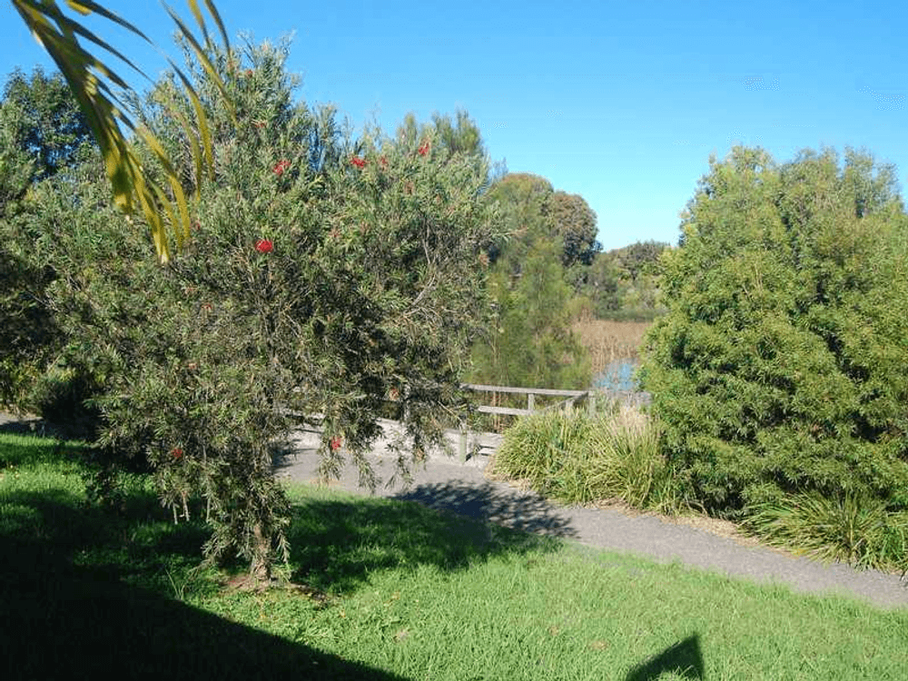 5/8 Wills Court, FORSTER, NSW 2428