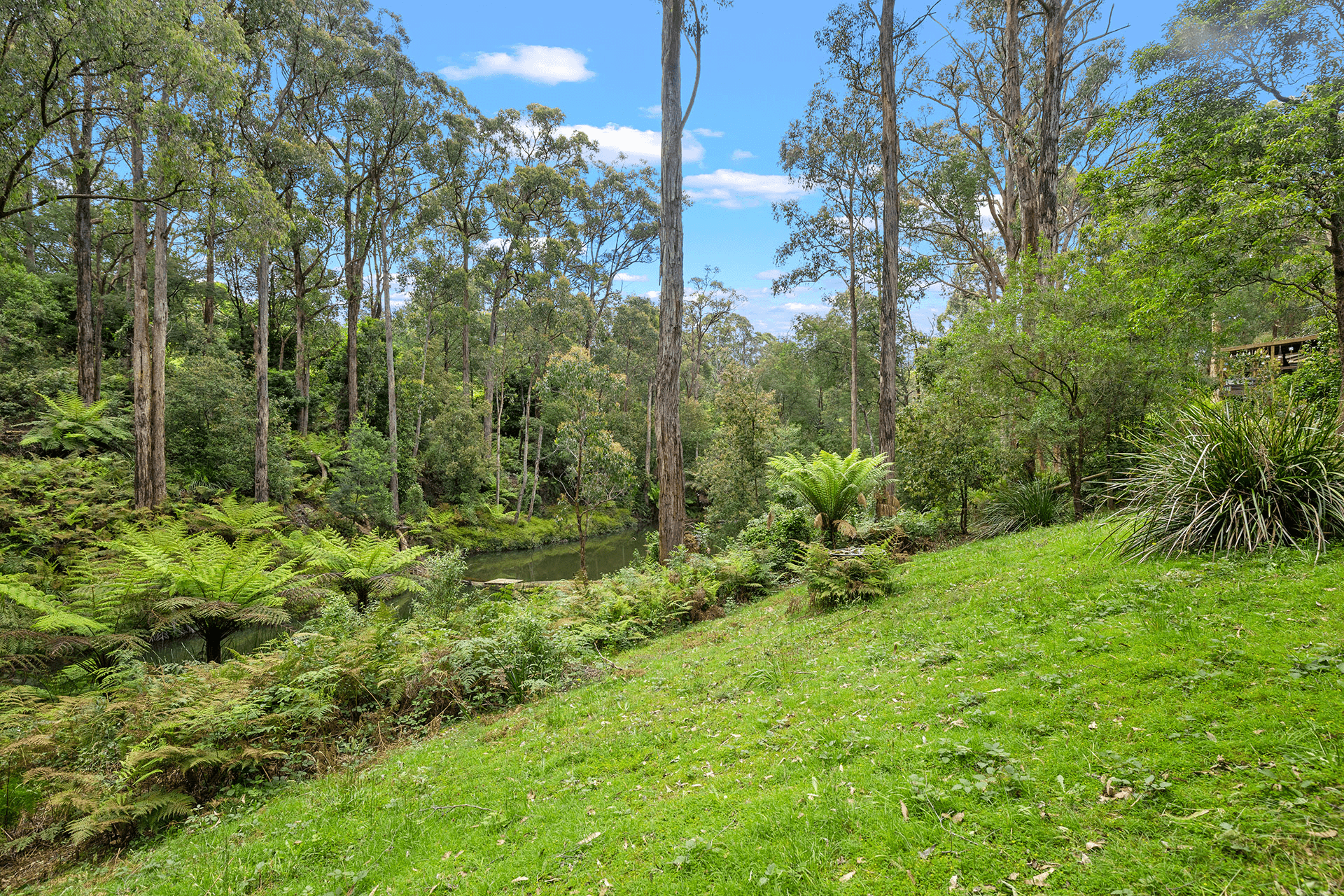 29 Fernglade Drive, Emerald, VIC 3782