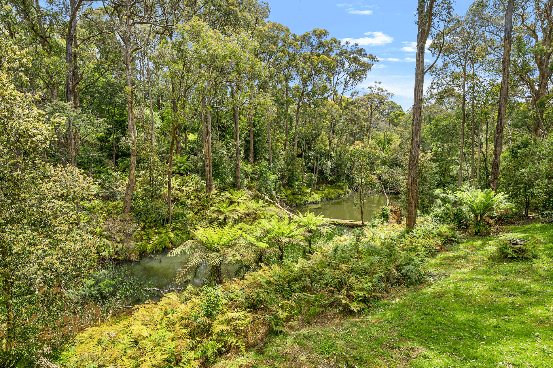 29 Fernglade Drive, Emerald, VIC 3782
