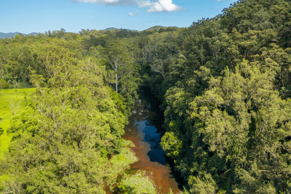 Lot 1 Scotchman Range Road, KALANG, NSW 2454