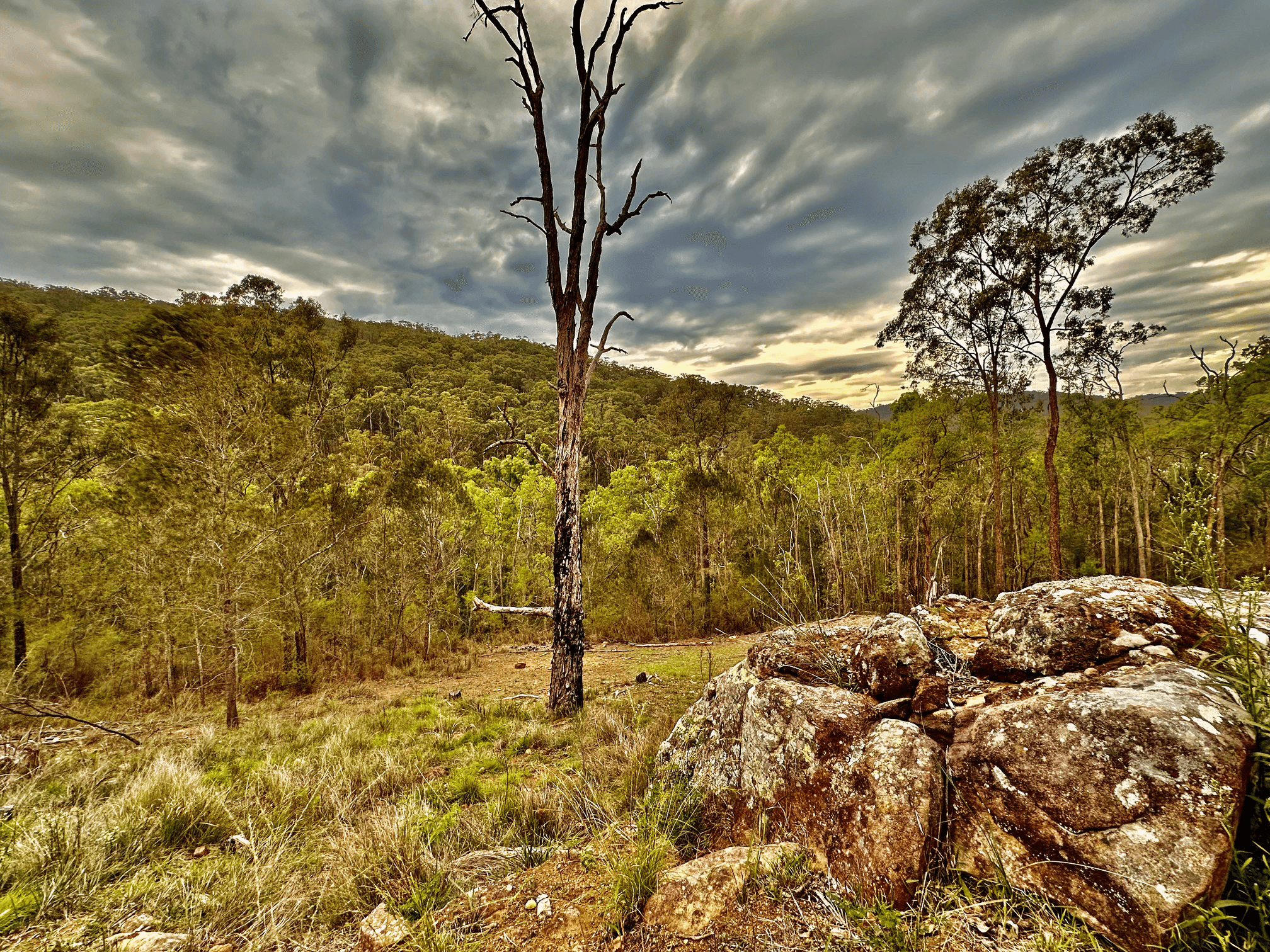 2684 Wollombi Road, Wollombi, NSW 2325