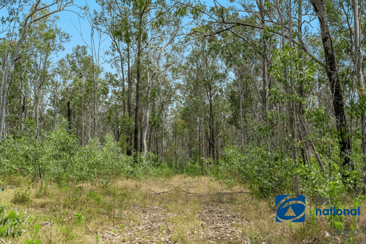 316 Camira Creek Road, CAMIRA, NSW 2469