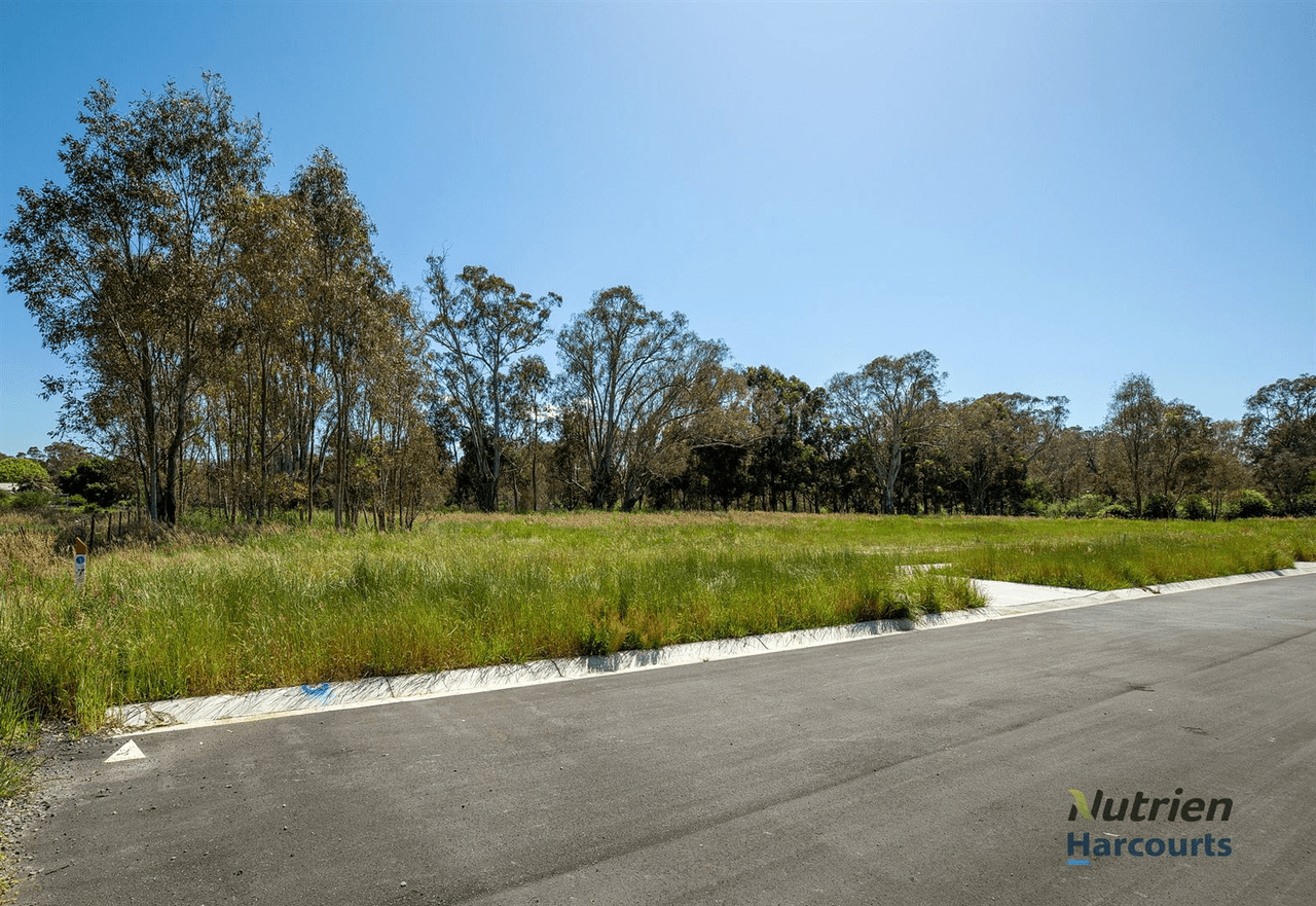 41 Boundary Creek Boulevard, YEA, VIC 3717