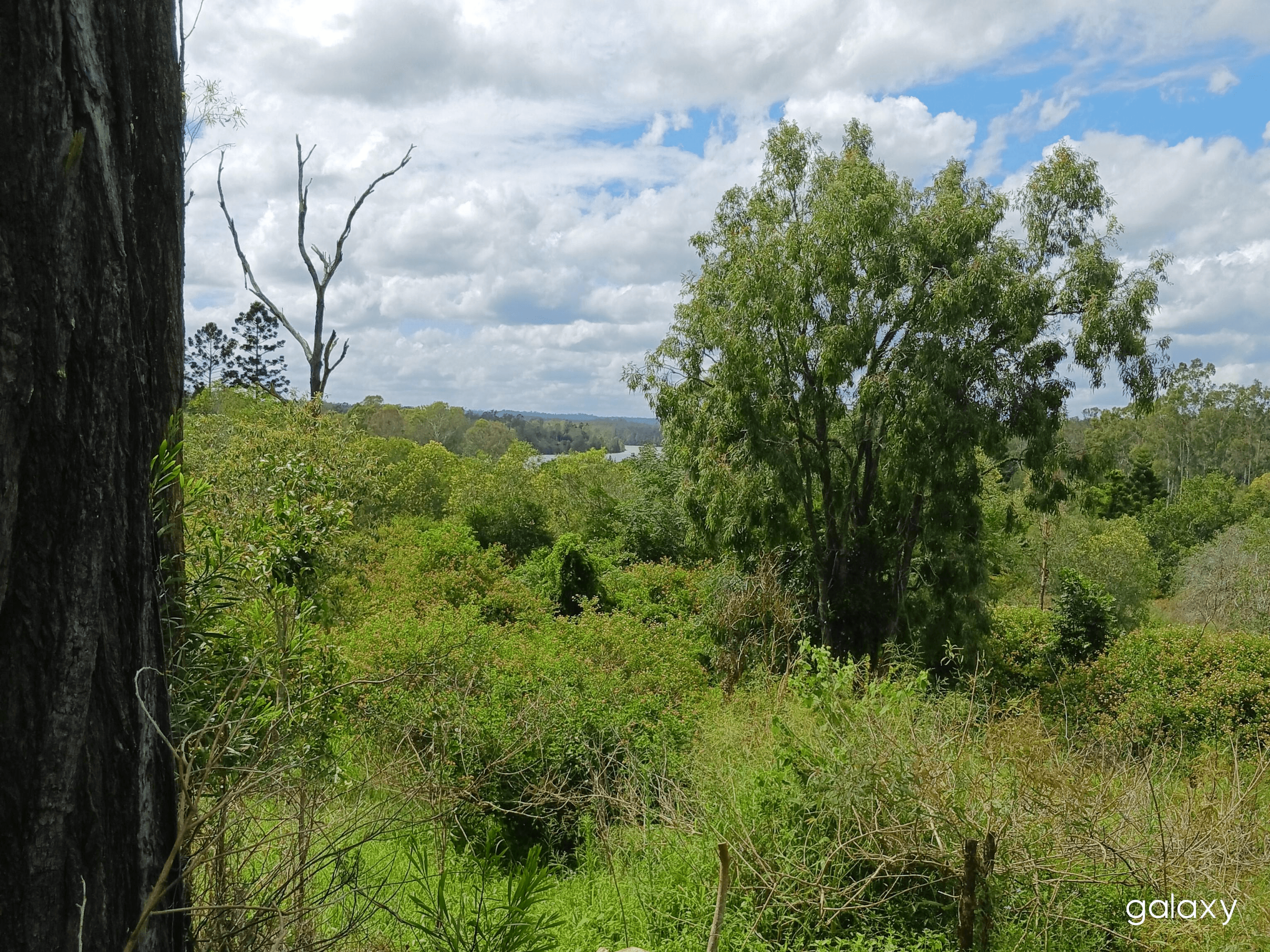 Lot 11 East River Pines Drive, DELAN, QLD 4671