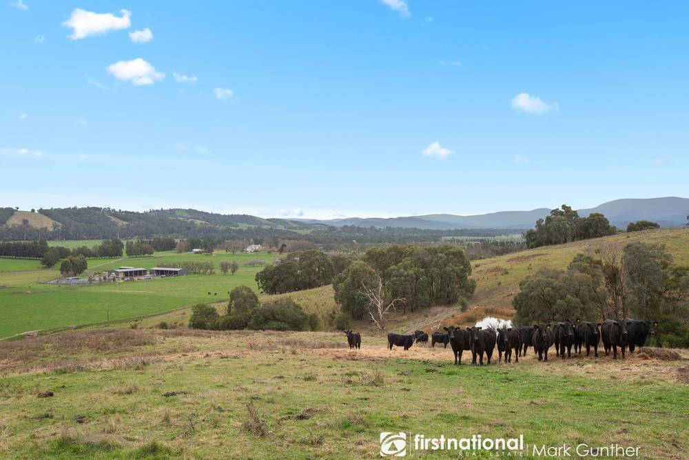 770 Healesville Koo Wee Rup Road, Healesville, VIC 3777
