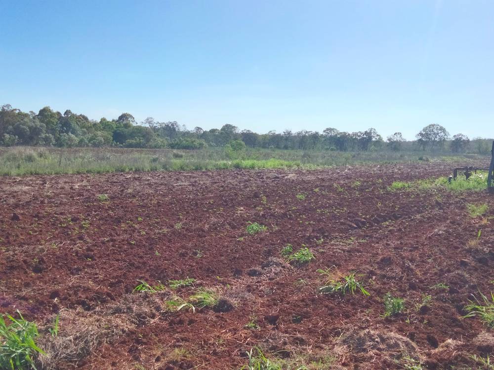 2913 Rosedale Road, YANDARAN, QLD 4673