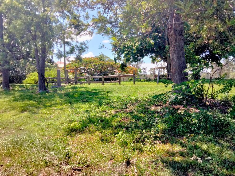 2913 Rosedale Road, YANDARAN, QLD 4673