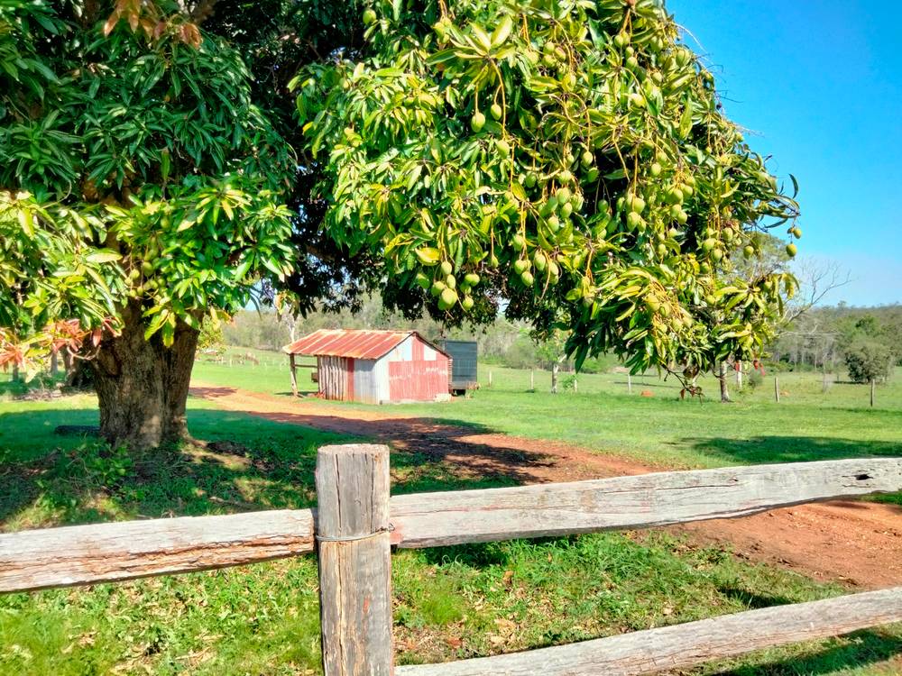 2913 Rosedale Road, YANDARAN, QLD 4673