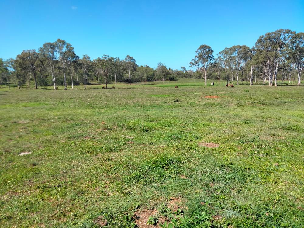 2913 Rosedale Road, YANDARAN, QLD 4673