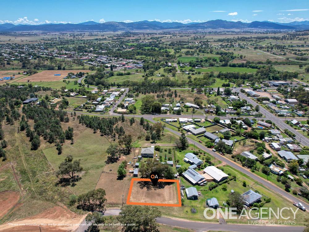 1 Soane Street, QUIRINDI, NSW 2343