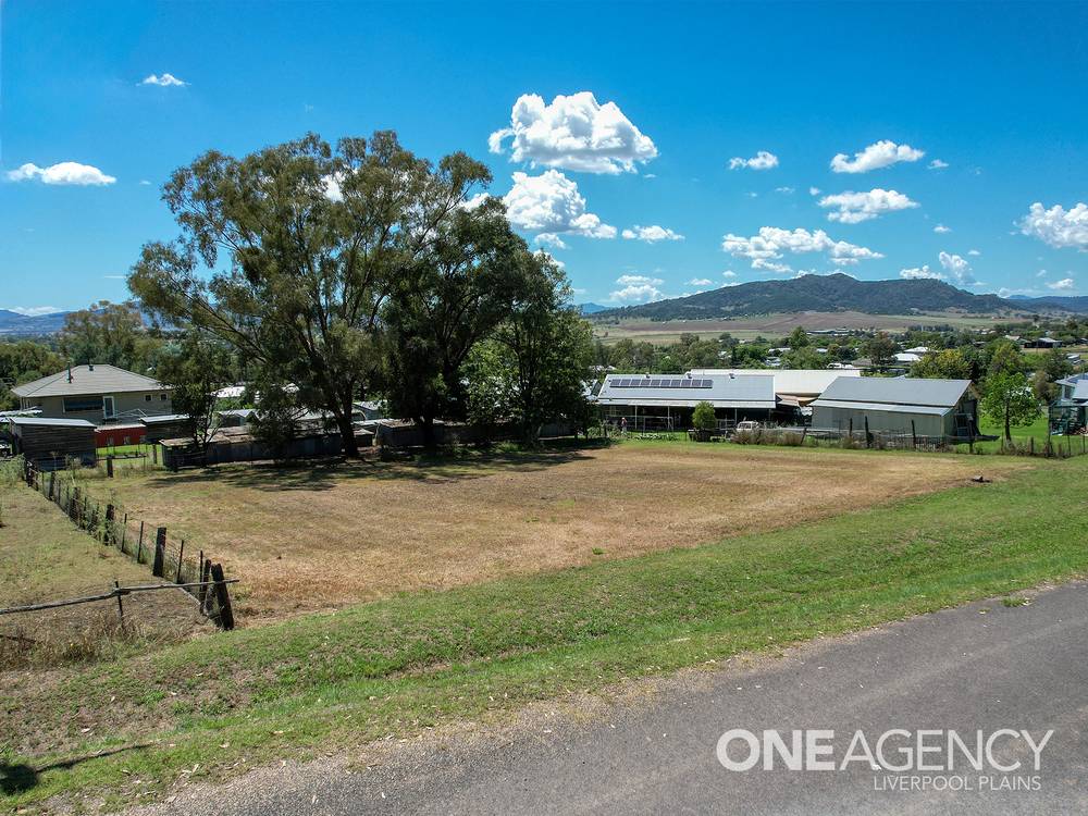 1 Soane Street, QUIRINDI, NSW 2343
