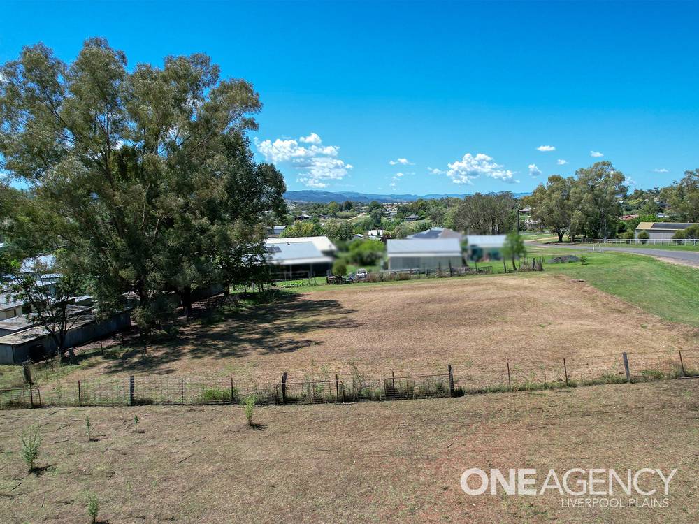 1 Soane Street, QUIRINDI, NSW 2343