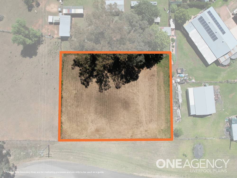 1 Soane Street, QUIRINDI, NSW 2343