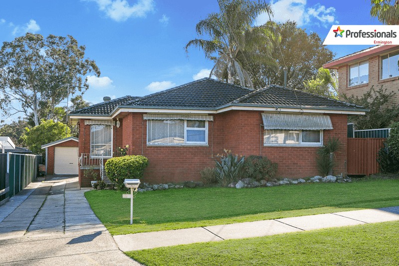 19 Pine Street, Rydalmere, NSW 2116