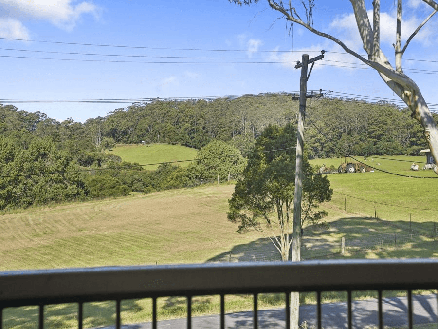 99 Pine Avenue, ULONG, NSW 2450