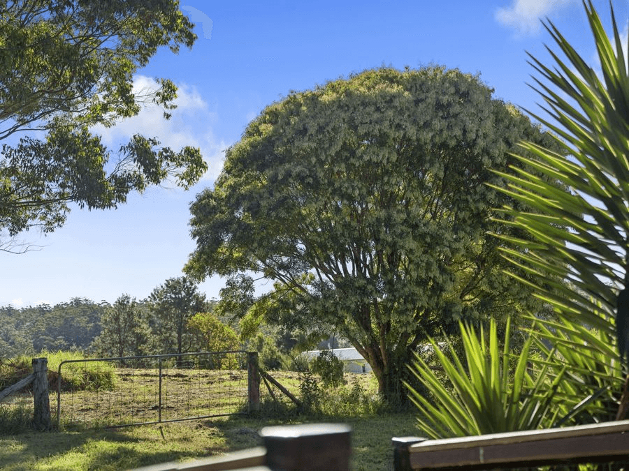 99 Pine Avenue, ULONG, NSW 2450