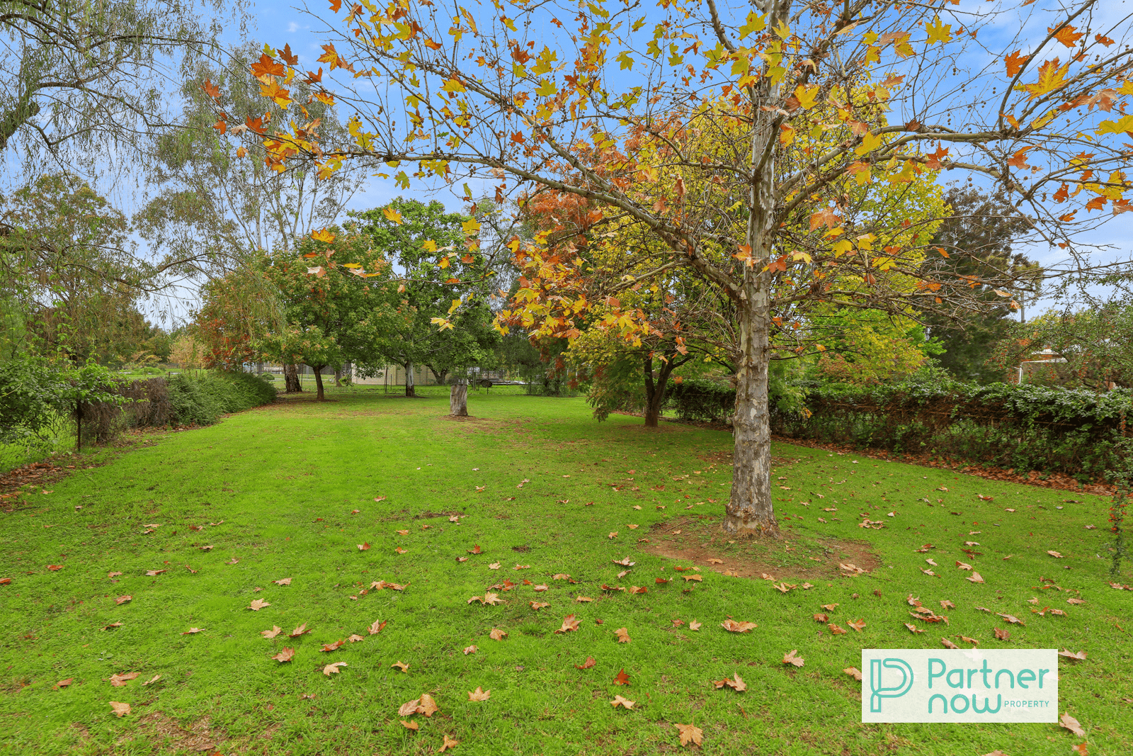53 Kingswood Drive, TAMWORTH, NSW 2340