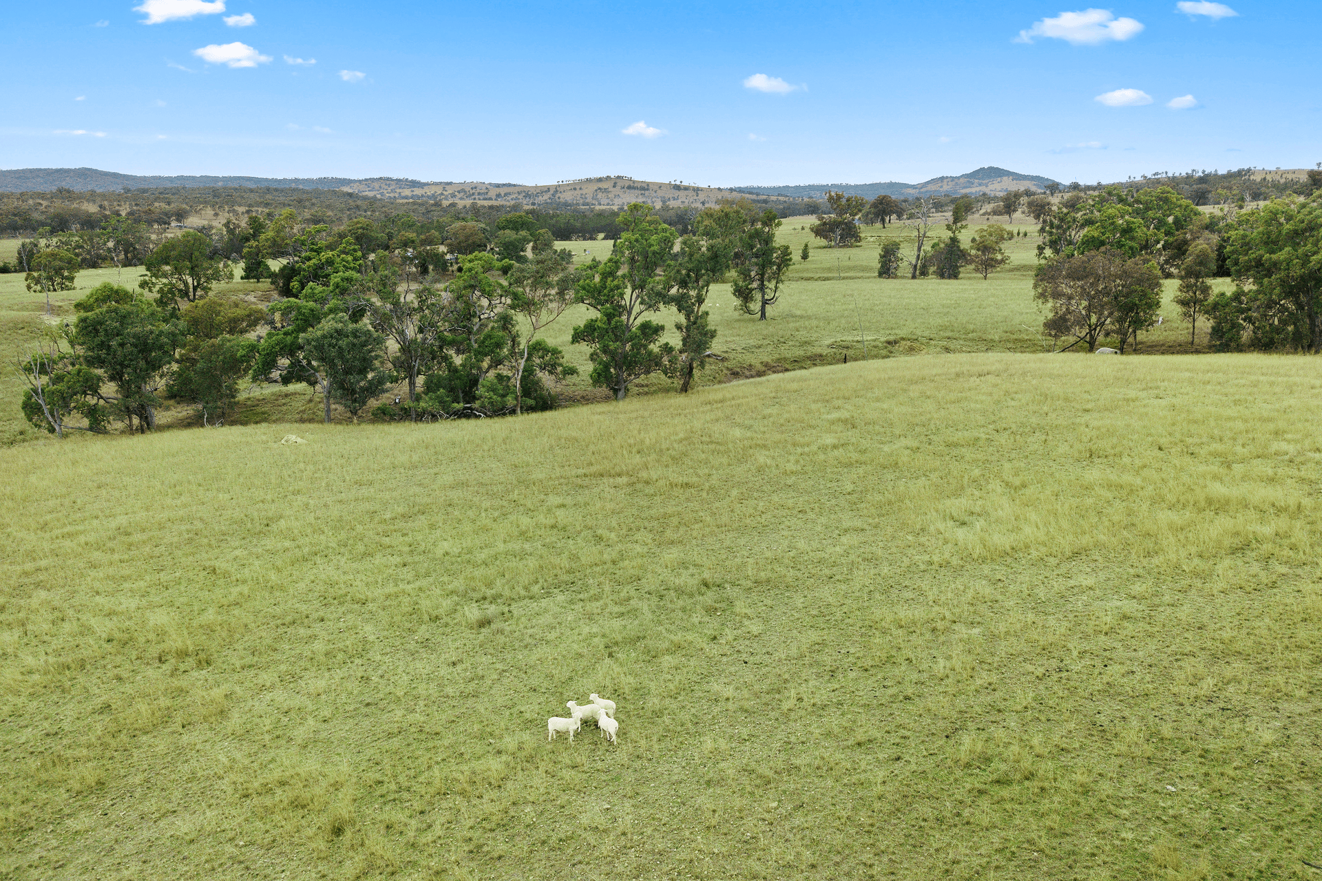 922 Hollybank Road, Inglewood, QLD 4387