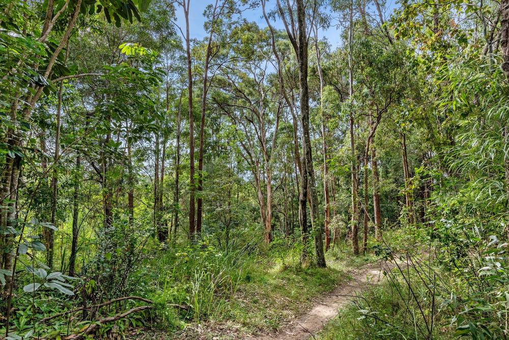 7 Illuka Street, Buderim, QLD 4556