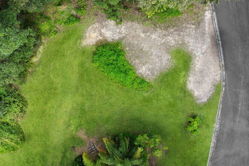 7 Illuka Street, Buderim, QLD 4556