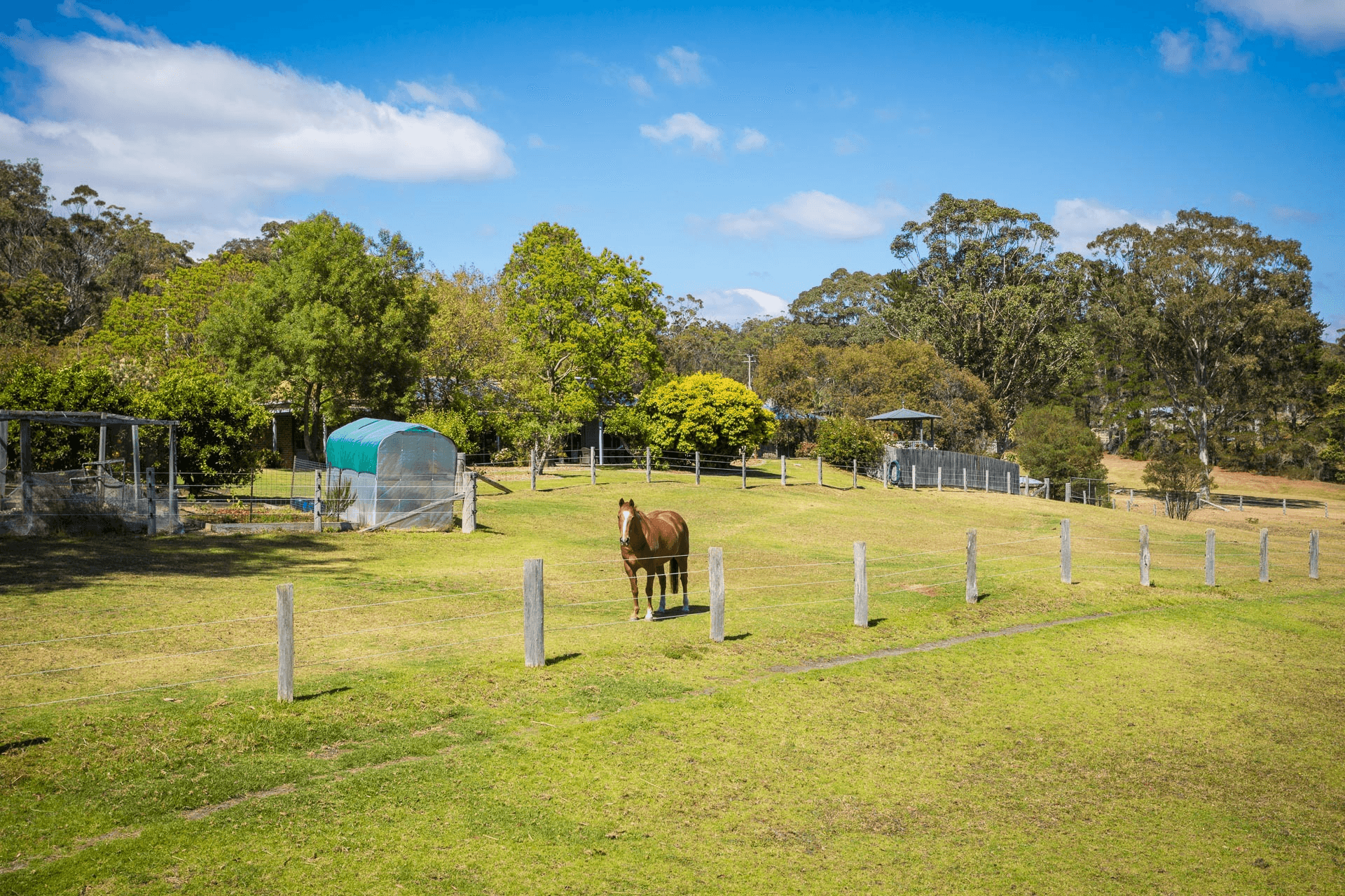 90 Yellow Pinch Drive, Yellow Pinch, NSW 2548