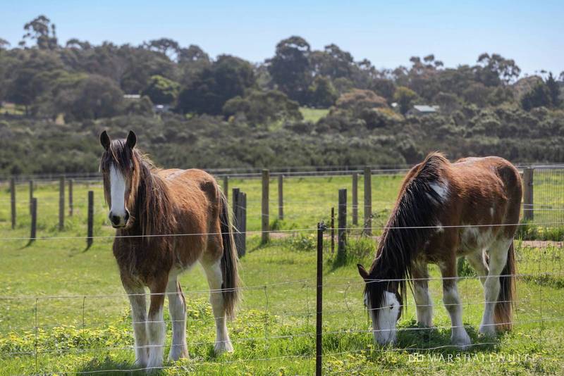 800 Moorooduc Highway, Mornington, VIC 3931