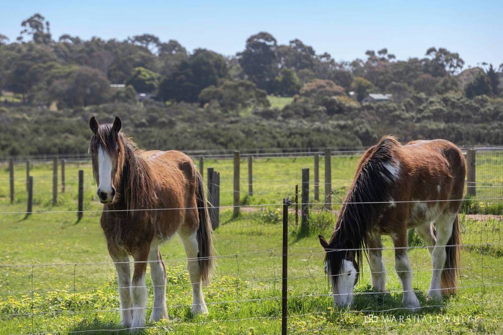 800 Moorooduc Highway, Mornington, VIC 3931