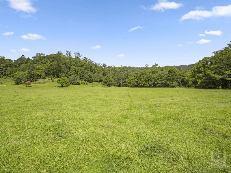 116 Crabbes Creek Road, CRABBES CREEK, NSW 2483