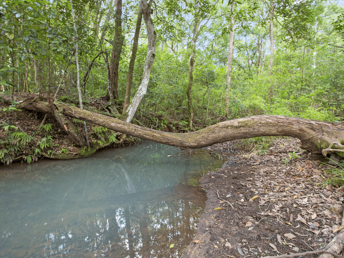 116 Crabbes Creek Road, CRABBES CREEK, NSW 2483