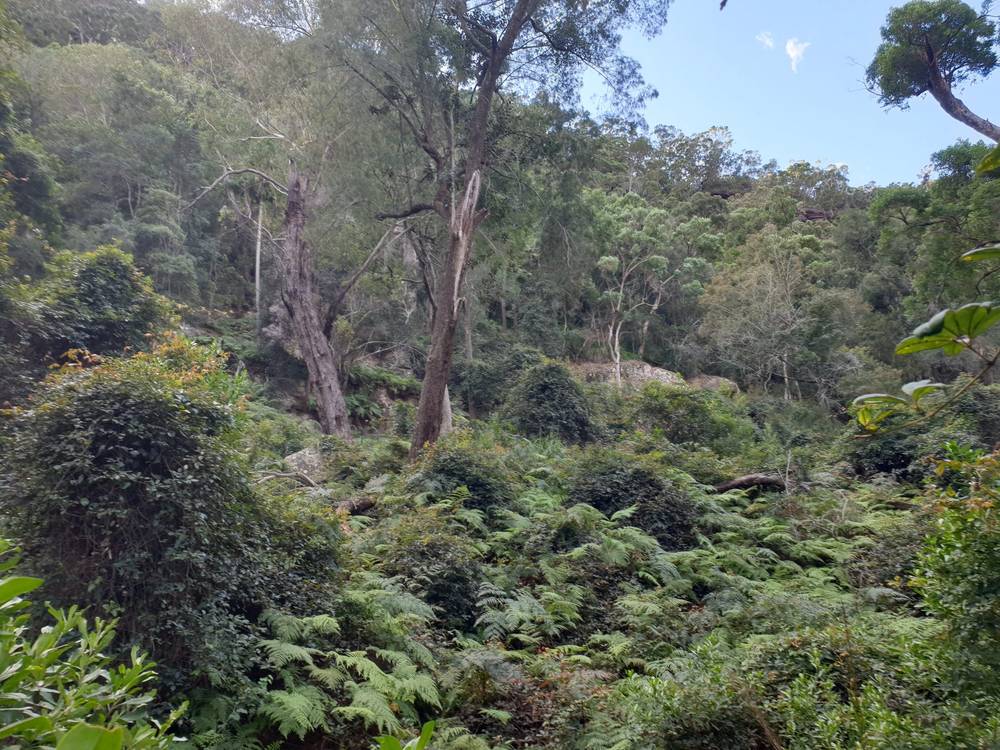 2700 Hawkesbury River, Bar Point, NSW 2083