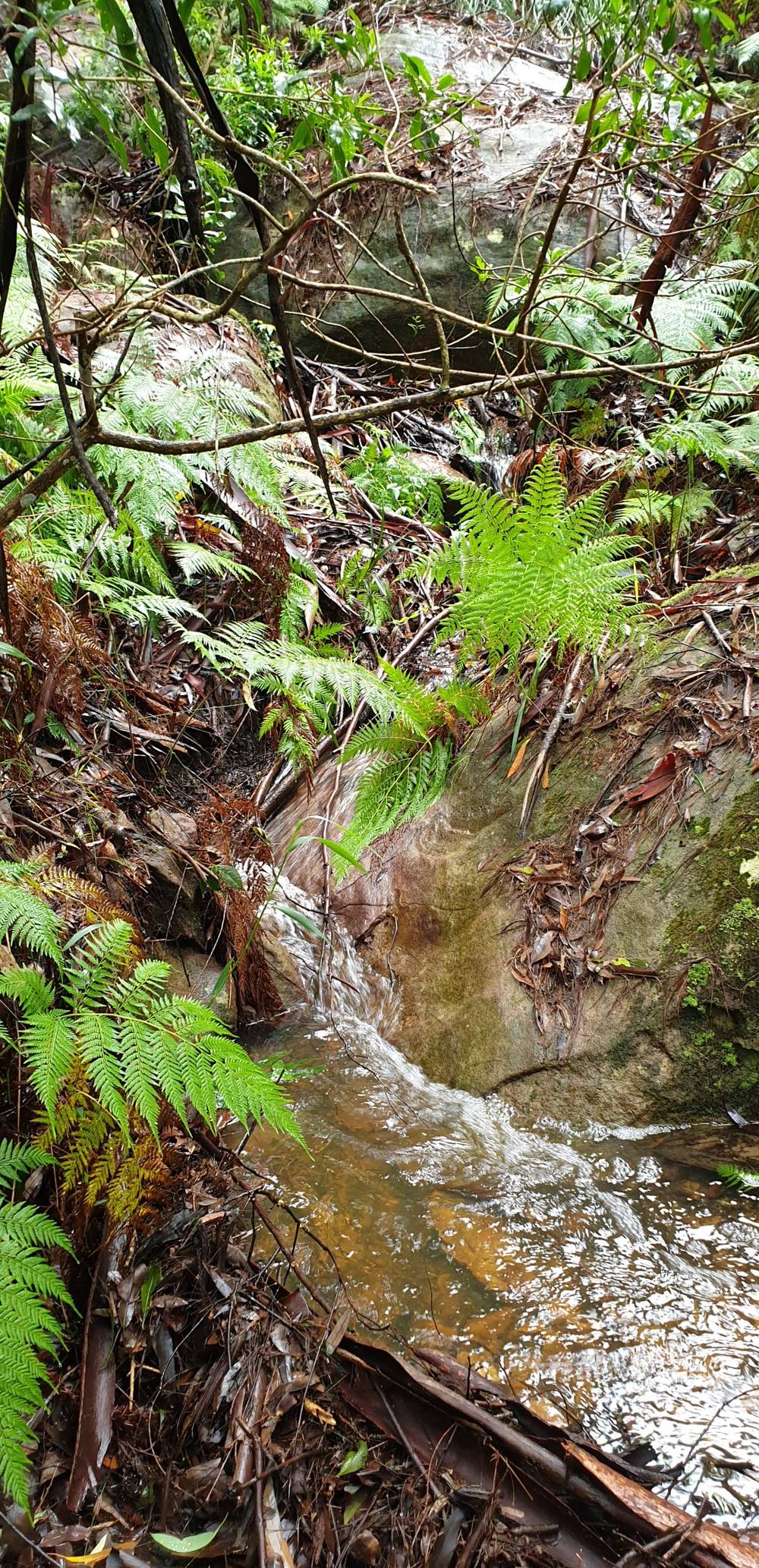2700 Hawkesbury River, Bar Point, NSW 2083
