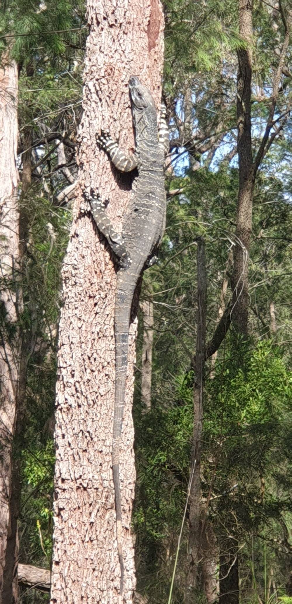 2700 Hawkesbury River, Bar Point, NSW 2083