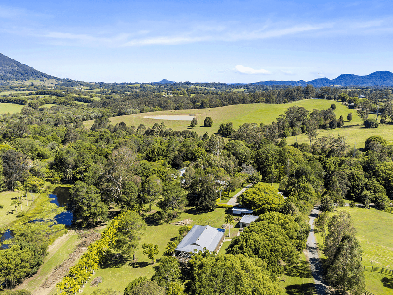 9 Pine Tree Dr, Lake Macdonald, QLD 4563