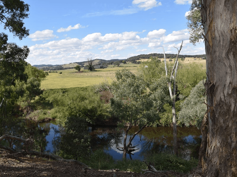 160 Birradilli Lane, MURRUMBATEMAN, NSW 2582