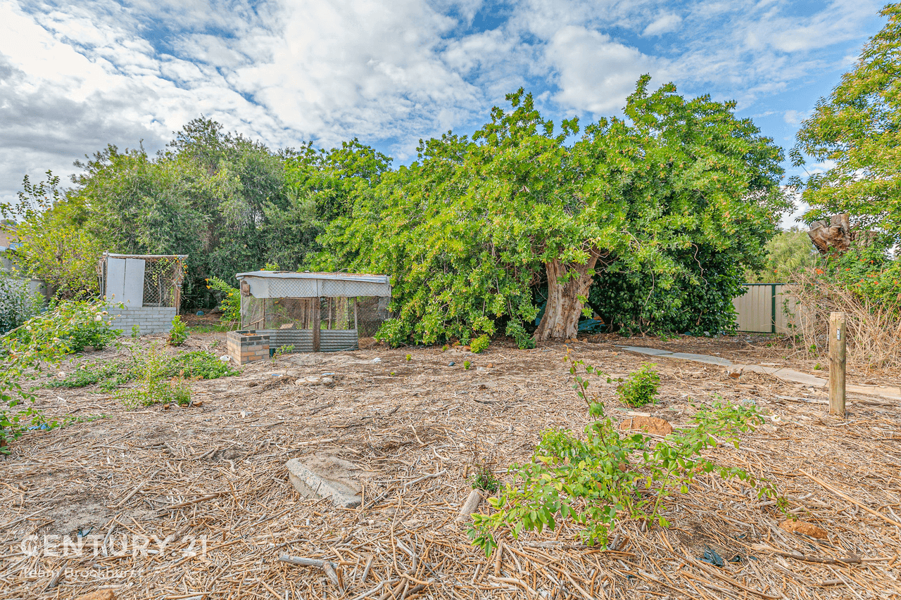 162 Streich Avenue, Kelmscott, WA 6111