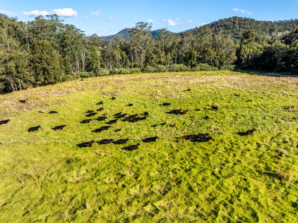 2667 Pappinbarra Road, PAPPINBARRA, NSW 2446