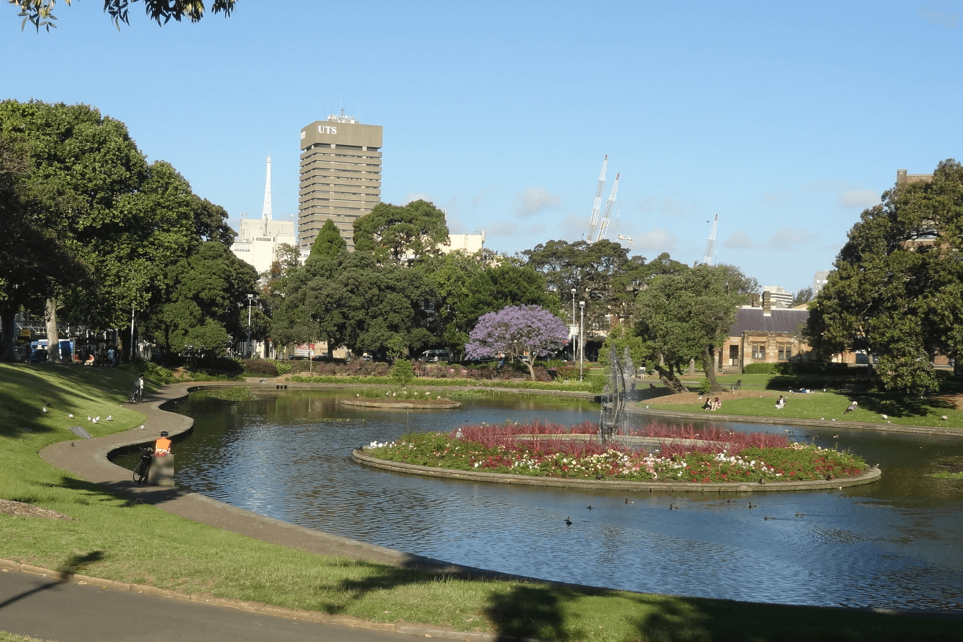 3061/185 Broadway, Ultimo, NSW 2007