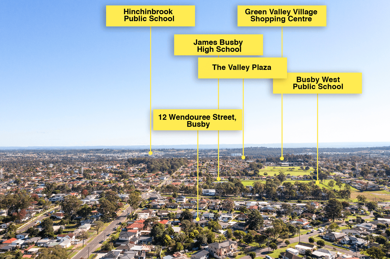 12 Wendouree Street, BUSBY, NSW 2168