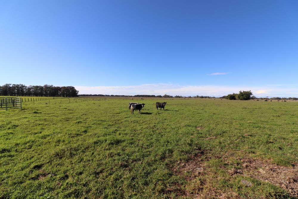 Lot/2 Austral Eden Inner Road, Austral Eden, NSW 2440
