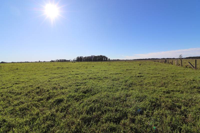 Lot/2 Austral Eden Inner Road, Austral Eden, NSW 2440