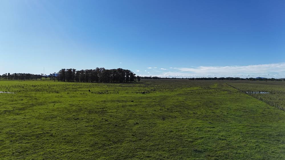 Lot/2 Austral Eden Inner Road, Austral Eden, NSW 2440