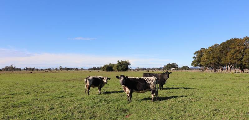 Lot/2 Austral Eden Inner Road, Austral Eden, NSW 2440