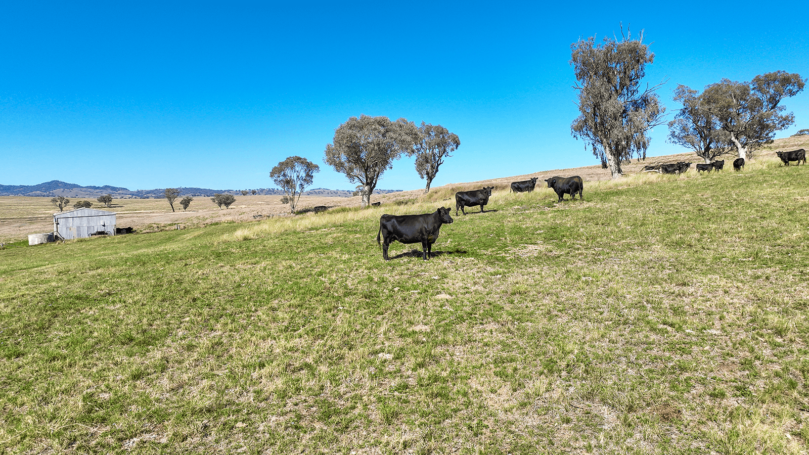 322 Tongues Lane, TAMWORTH, NSW 2340