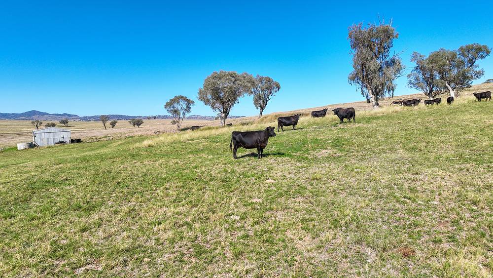 322 Tongues Lane, TAMWORTH, NSW 2340