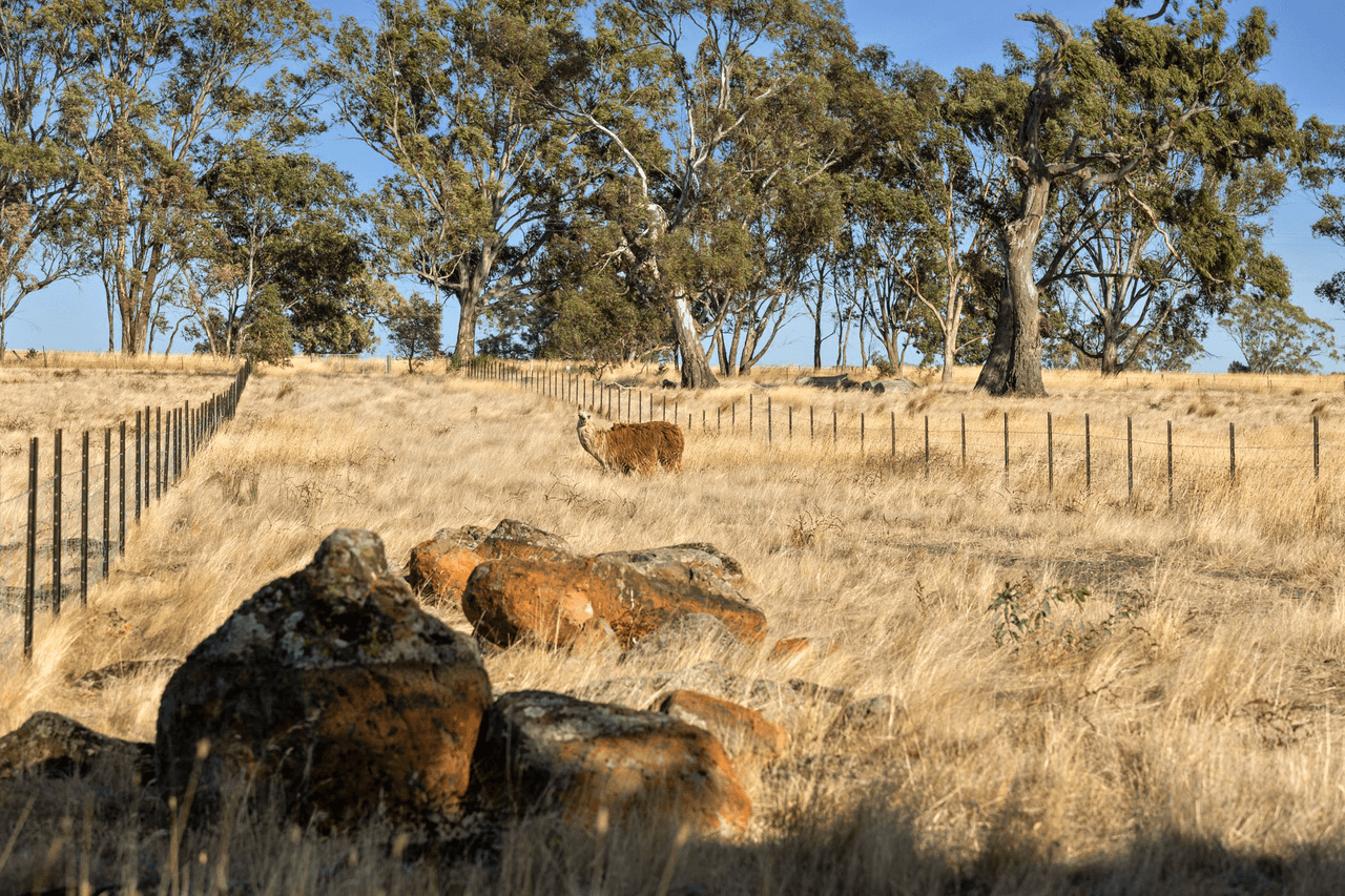 176 North Redesdale Road, REDESDALE, VIC 3444