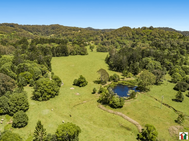 349 Pottsville Road, SLEEPY HOLLOW, NSW 2483