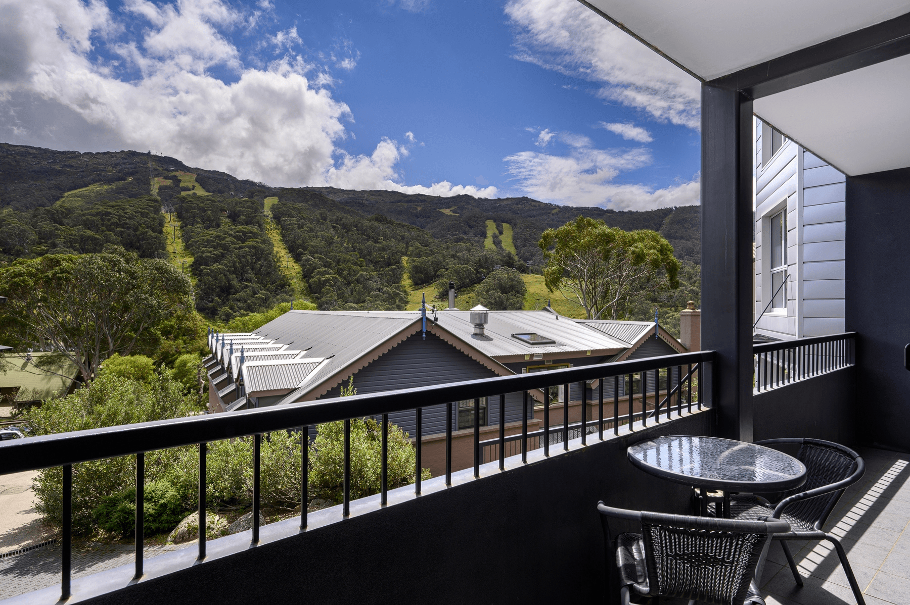 Snowgoose 1 a&b/25 Diggings Terrace, Thredbo, NSW 2625