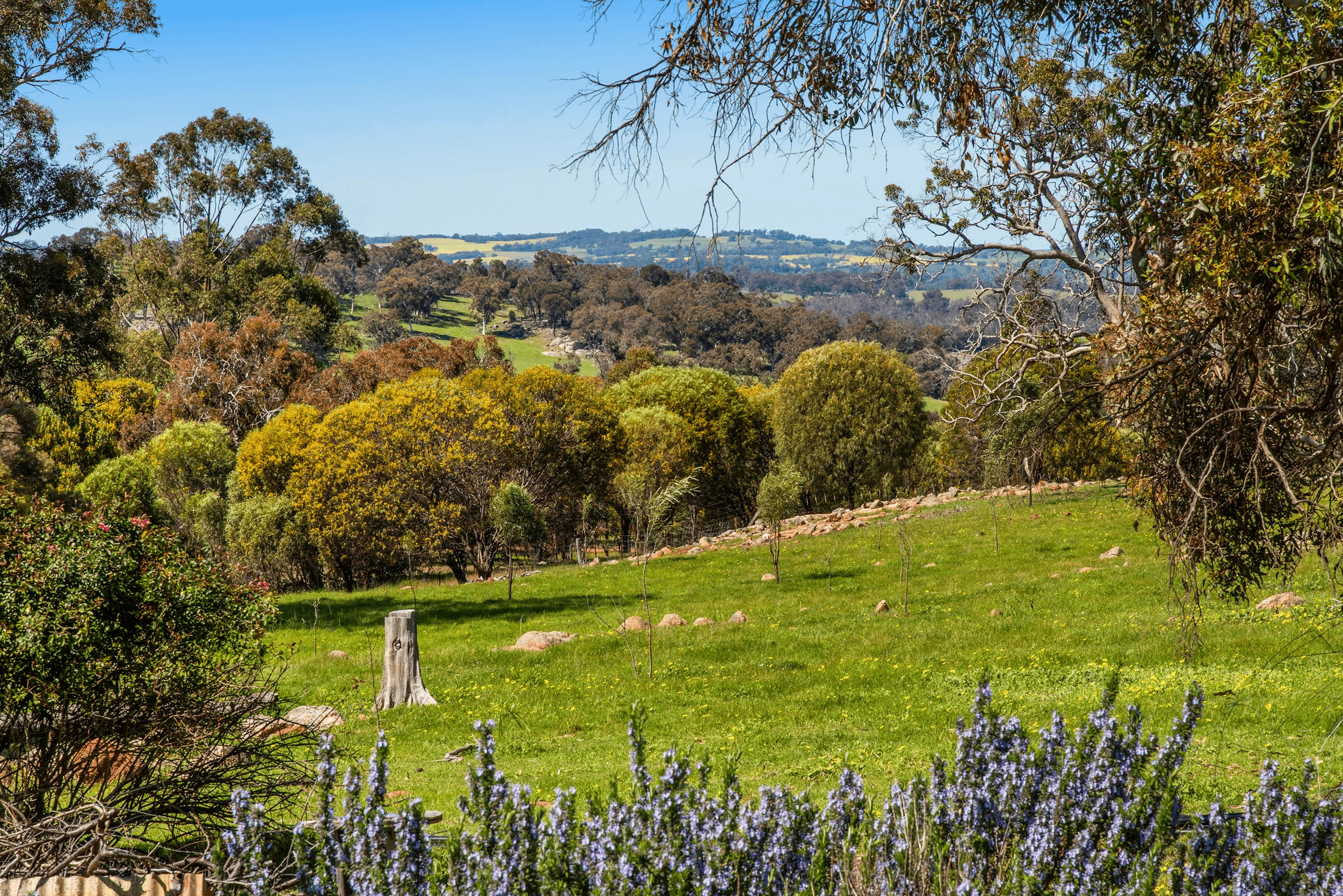 86 Blackboy Gully Road, WANDERING, WA 6308