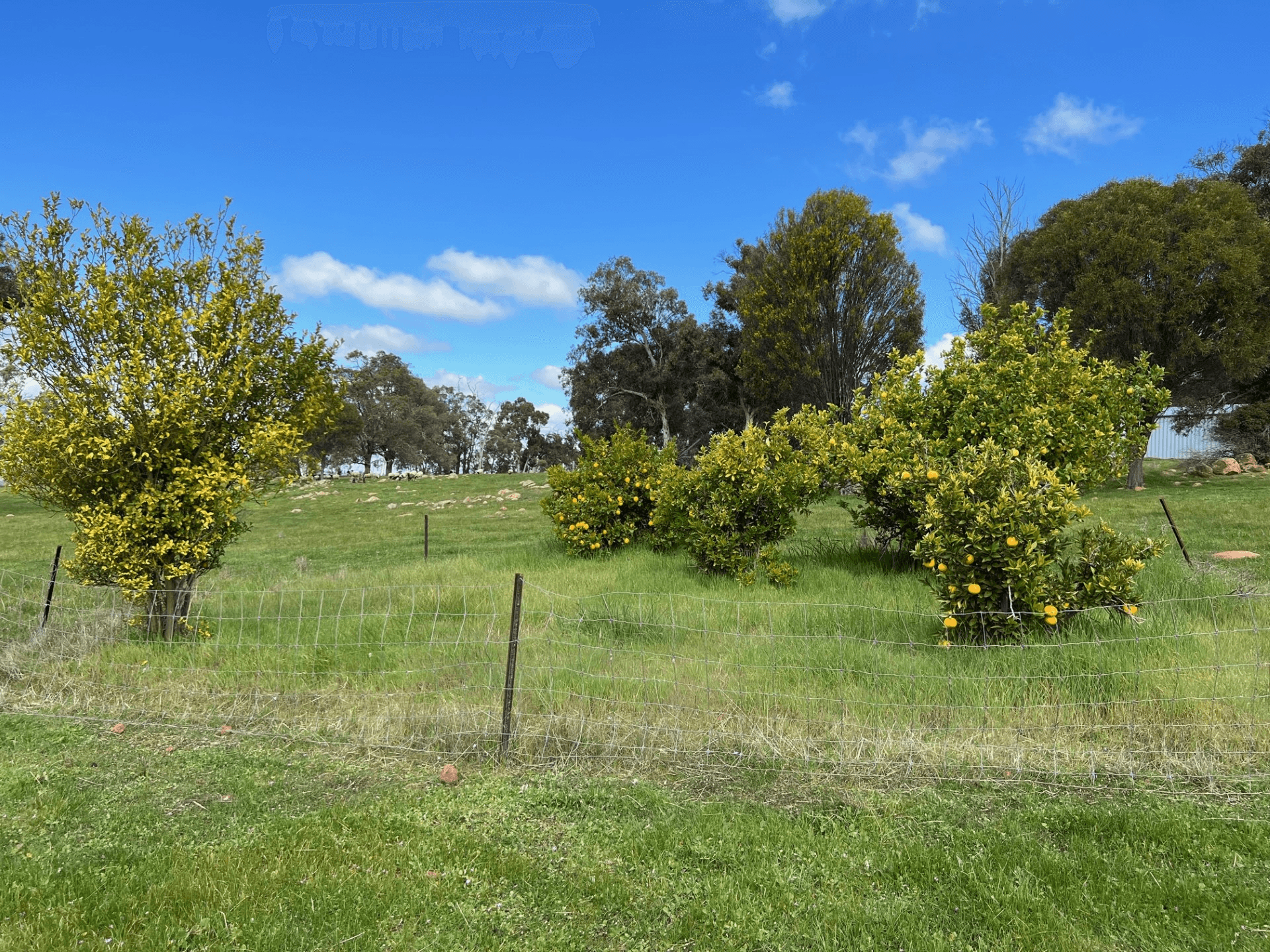 86 Blackboy Gully Road, WANDERING, WA 6308